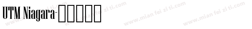 UTM Niagara字体转换